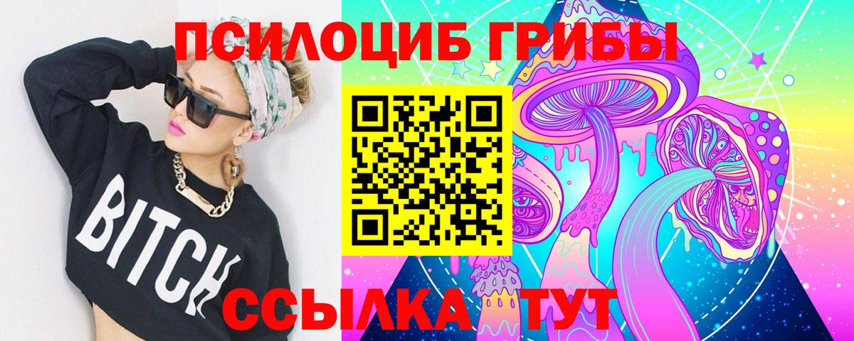Железногорск  Галлюциногенные грибы мухоморы  Вход с VPN 